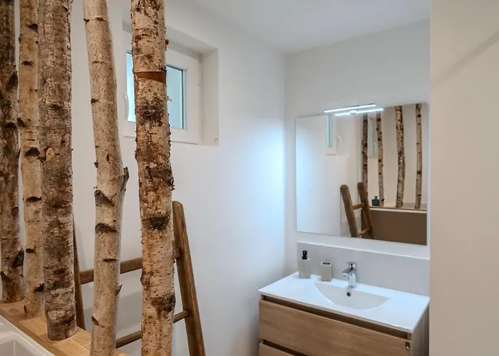 公寓 L'ostalet Luxe Jacuzzi 阿克斯莱泰尔姆