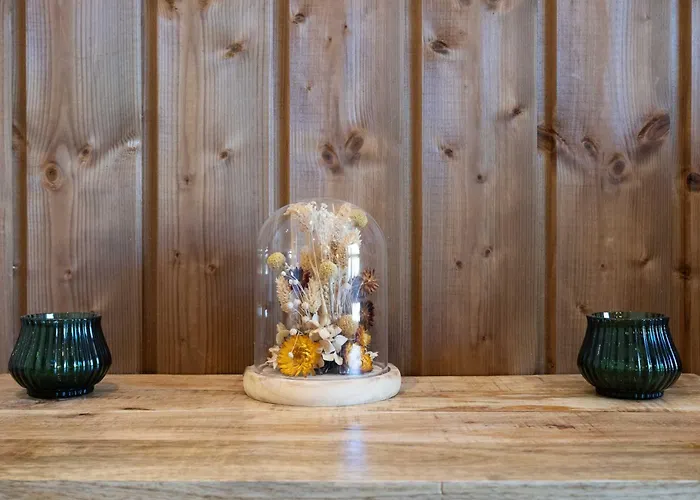 公寓 L'ostalet Luxe Jacuzzi 阿克斯莱泰尔姆